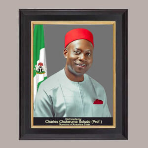 official photo portrait of professor charles chukwuma soludo Anambra state governor