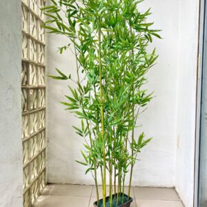 Bamboo slim sticks price in Lagos nigeria