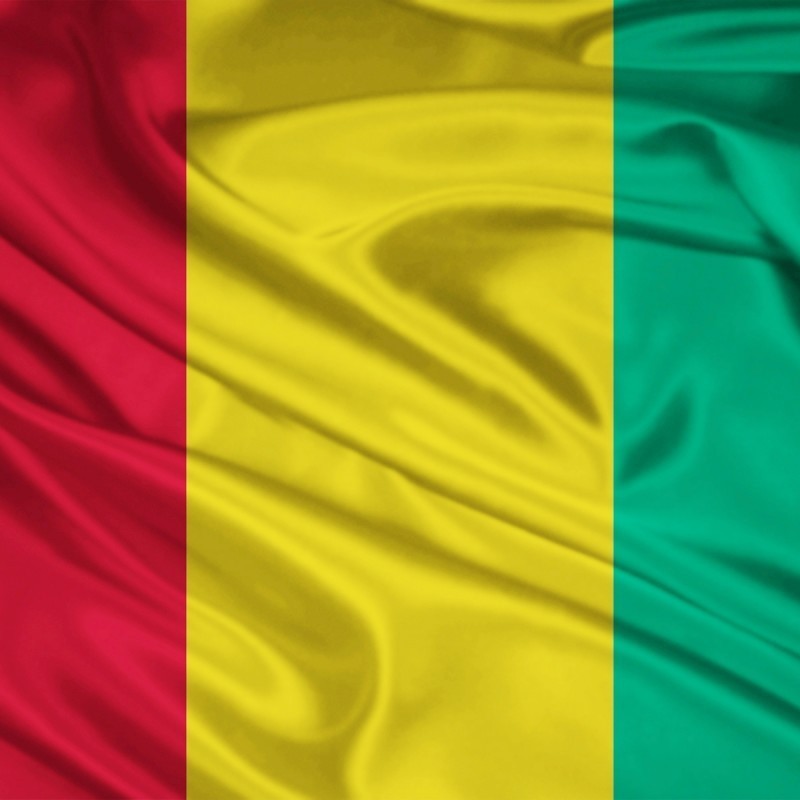 Guinea flag Lagos