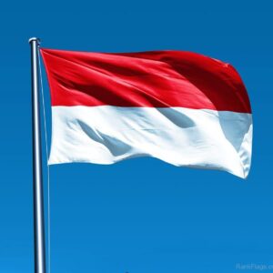 Indonesia flags lagos