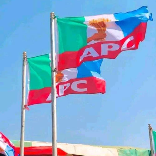 APC Flag - Eloquent Displays & Decor