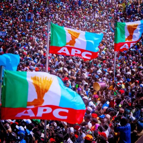 apc flag supplier in lagos