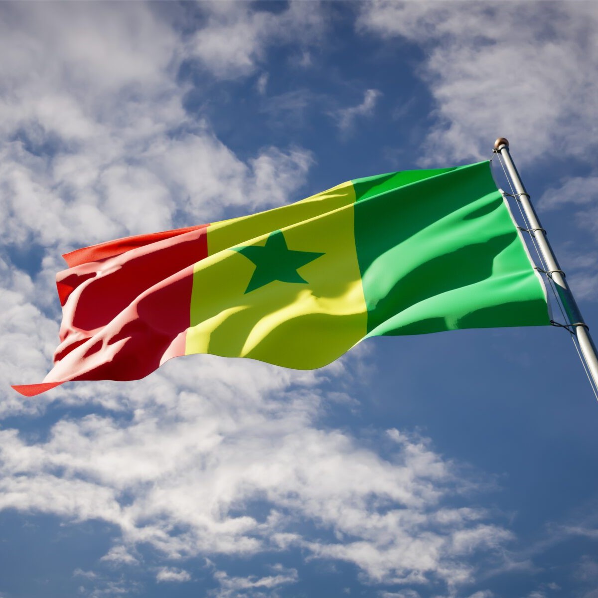 Senegal flags in nigeria