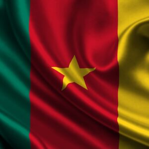 Cameroon flag lagos