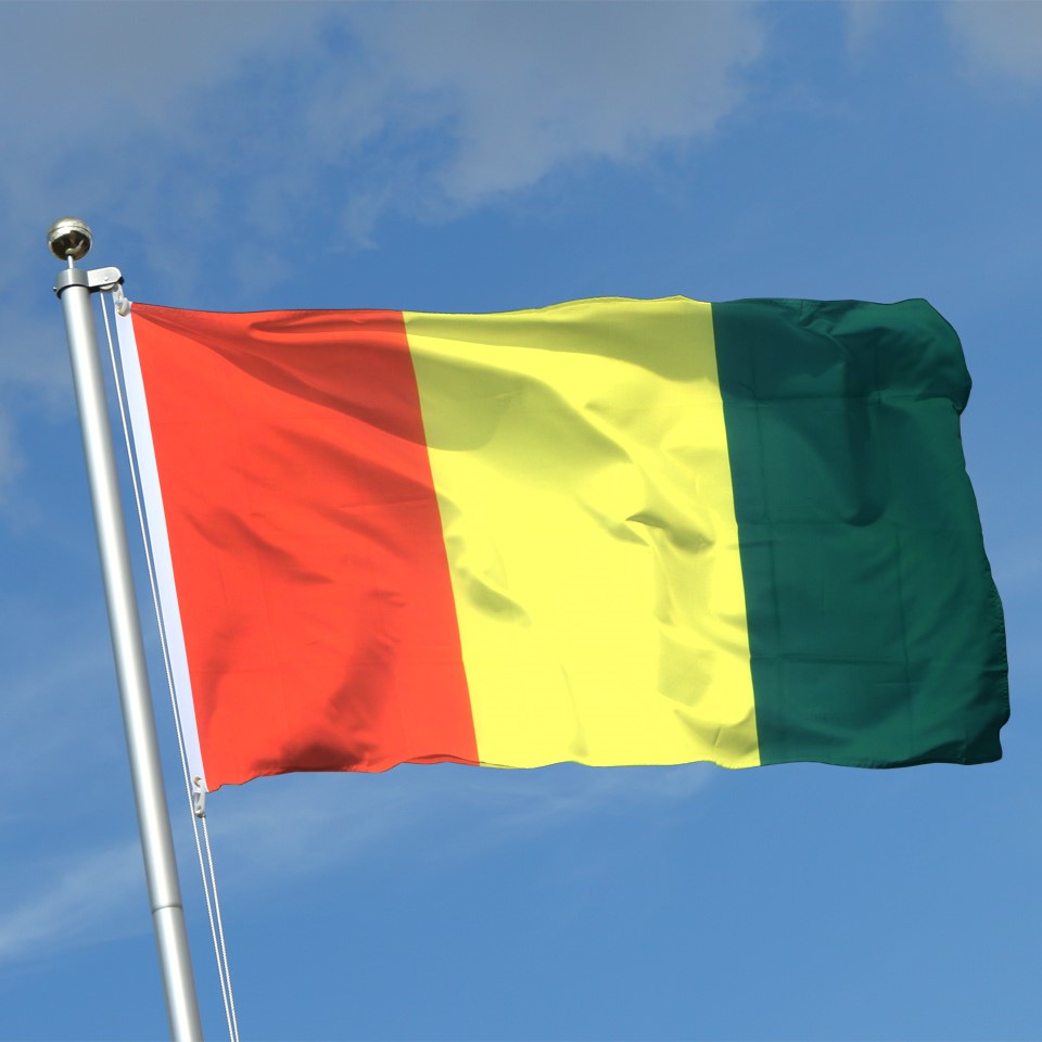 guinea flag