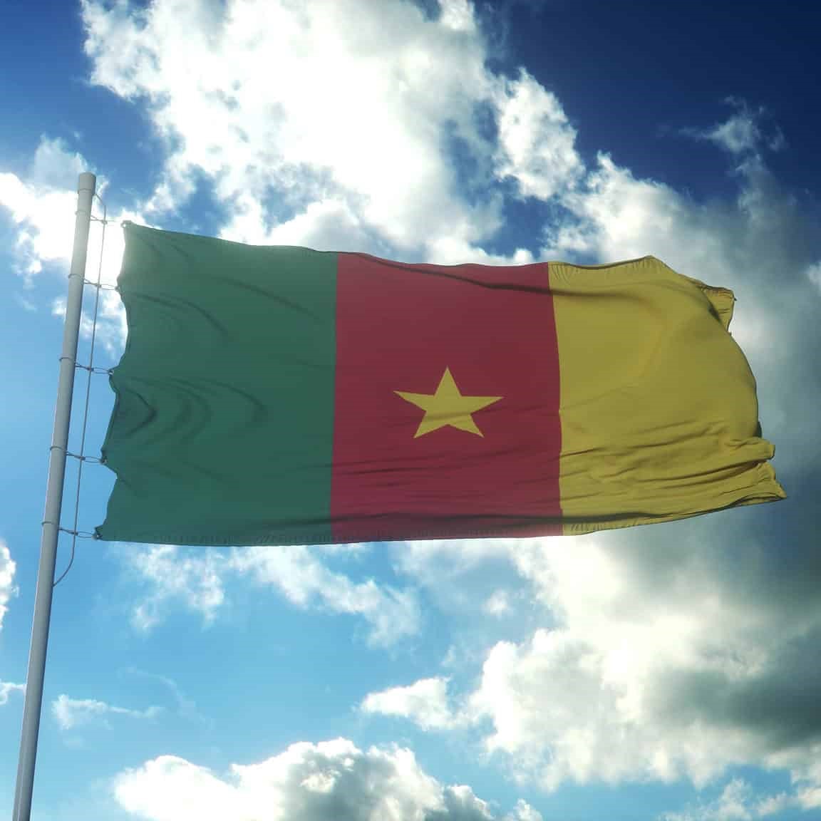 Cameroon Flag - Eloquent Displays & Decor