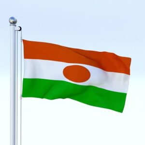 Niger Flag