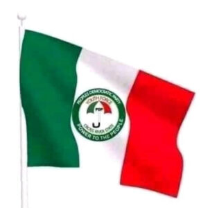 pdp flag for sale in lagos nigeria