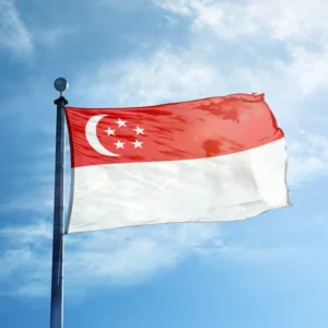 singapore flags for sale in lagos nigeria