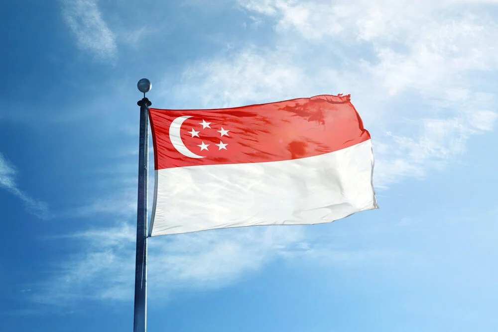 singapore flags for sale in lagos nigeria