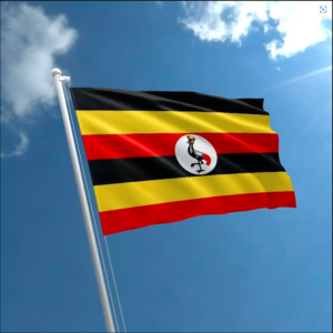 uganda flags in lagos