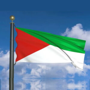 oyo state flag design