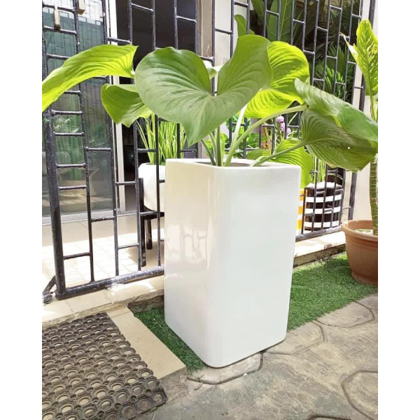 Buy planters and vases online