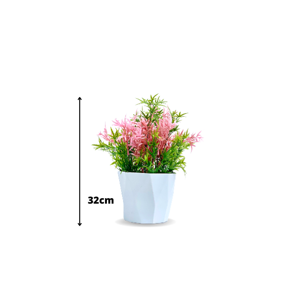 Trusted tabletop plant vendors in Lagos