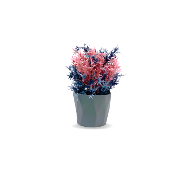 Trusted tabletop plant vendors in Lagos