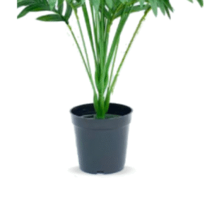 Buy artificial trees in Lagos