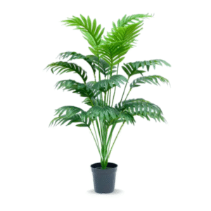 Buy artificial trees in Lagos
