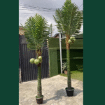 Where to buy fake trees in Lagos Nigeria