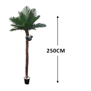 Order artificial trees online in Lagos