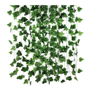 Hanging plants for sale in Lagos Nigeria