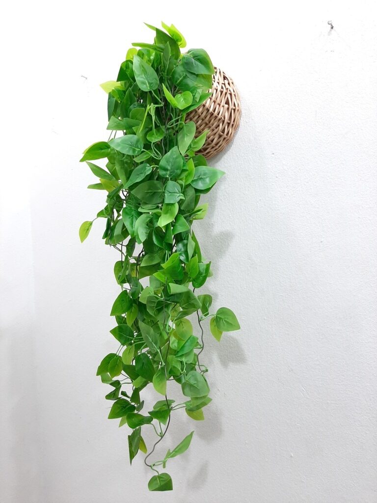 Hanging greenery for commercial spaces Lagos