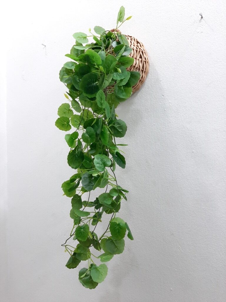 Hanging greenery for commercial spaces Lagos
