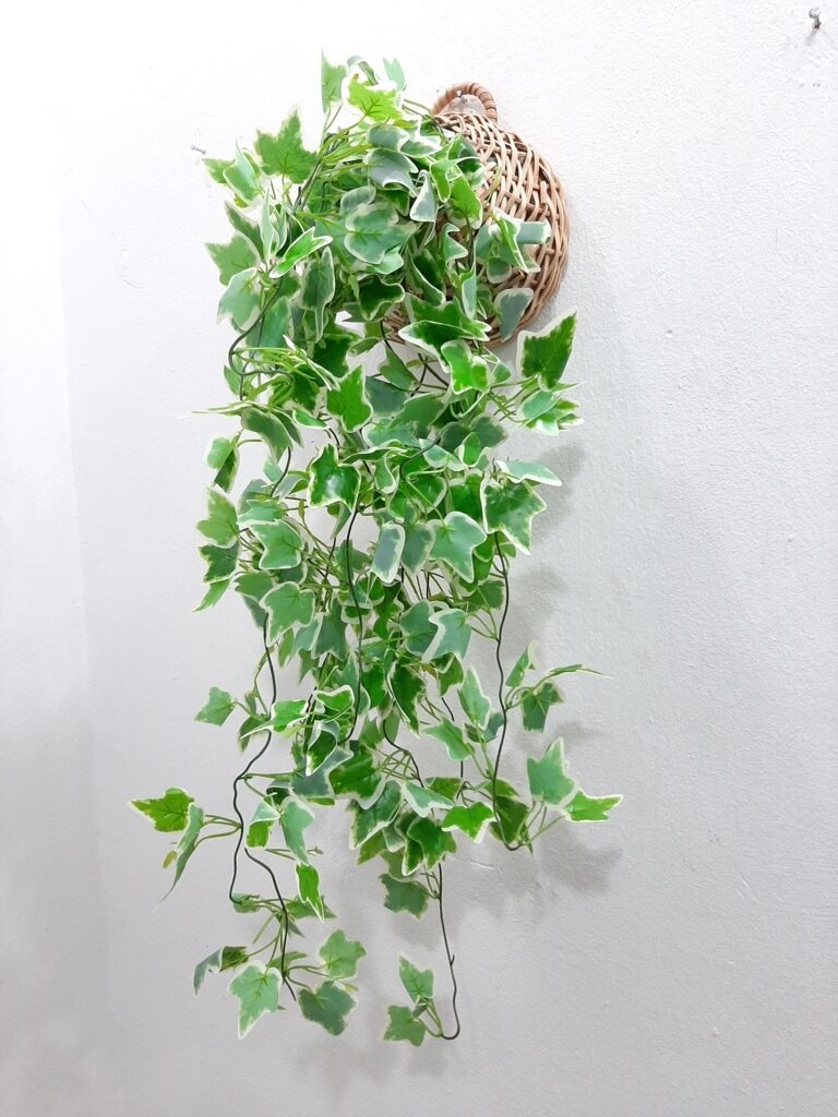 Hanging greenery for commercial spaces Lagos