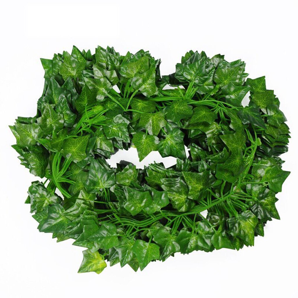 Lagos hanging plant suppliers