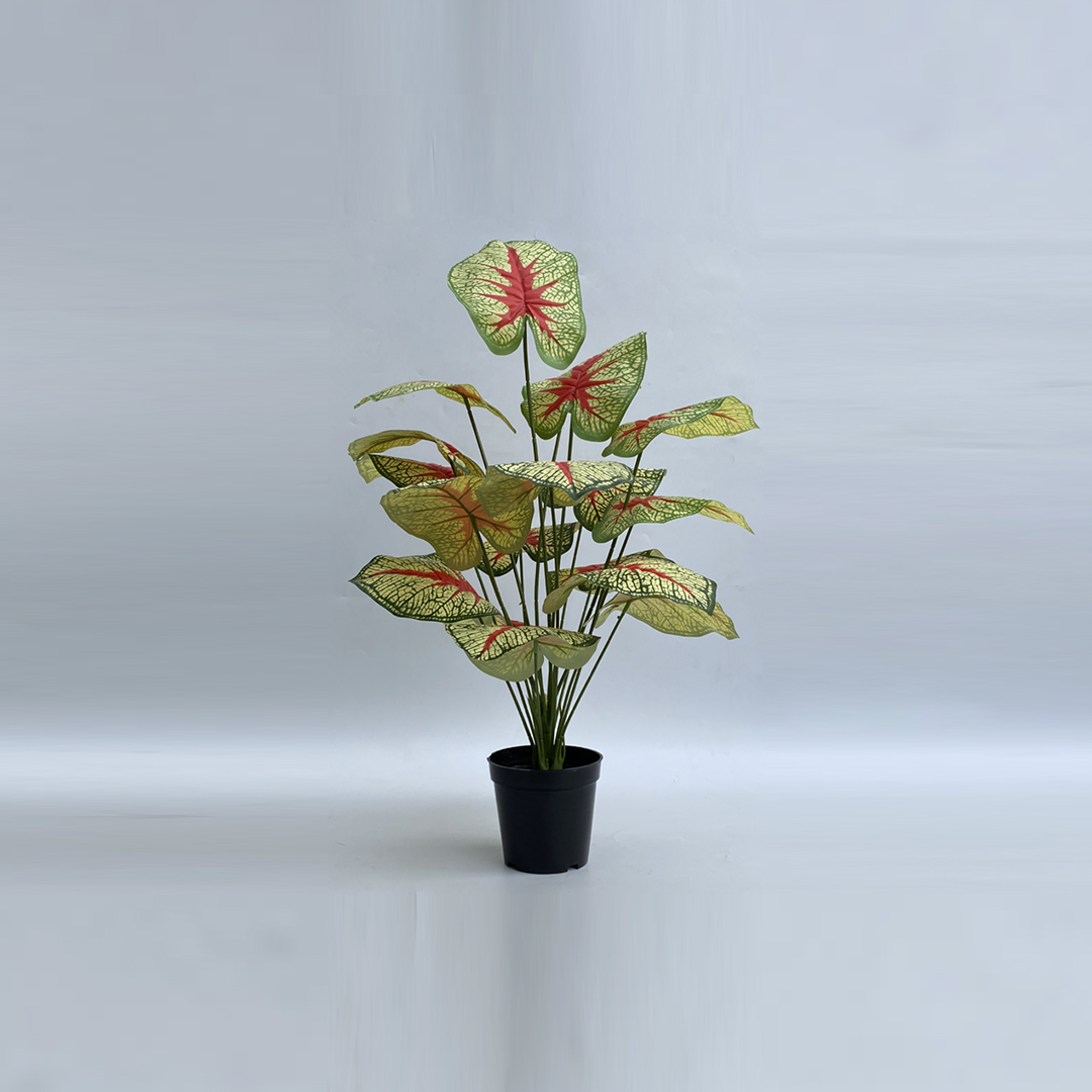 Artificial plants for business premises Lagos