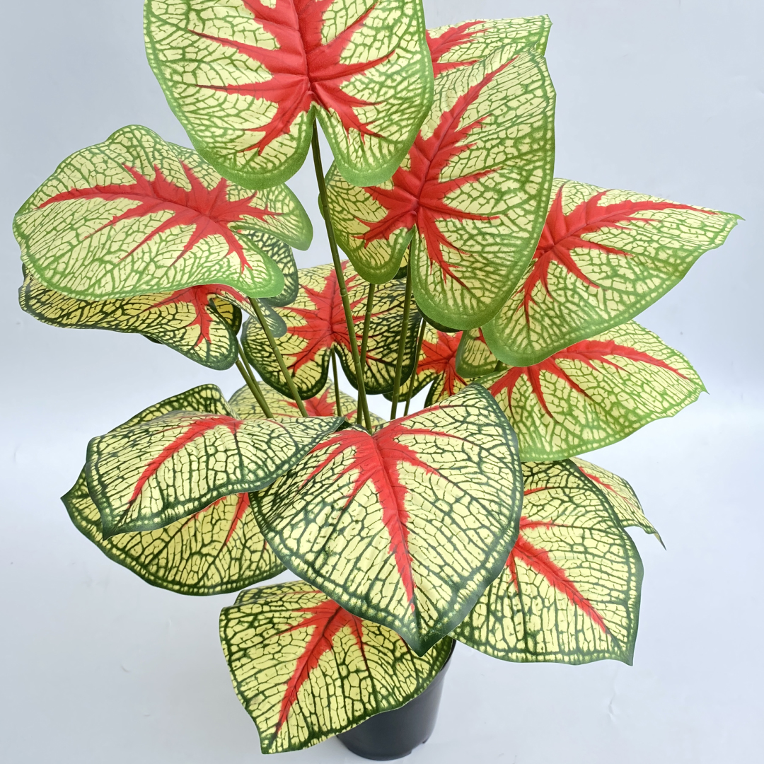 Artificial plants for business premises Lagos
