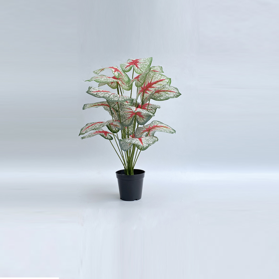 Artificial plants for business premises Lagos