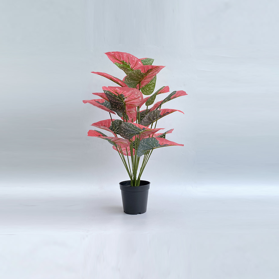 Artificial plants for business premises Lagos