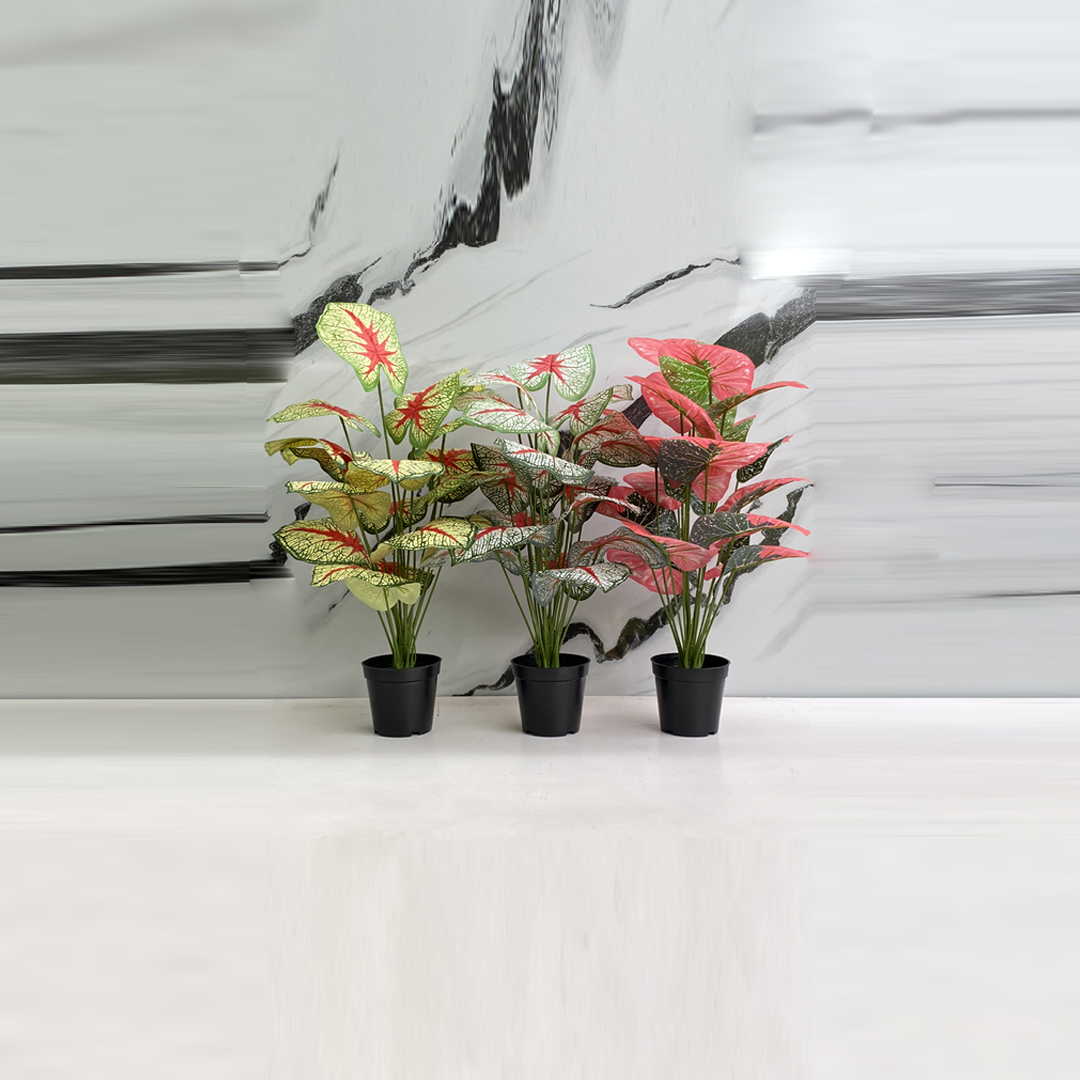Artificial plants for business premises Lagos