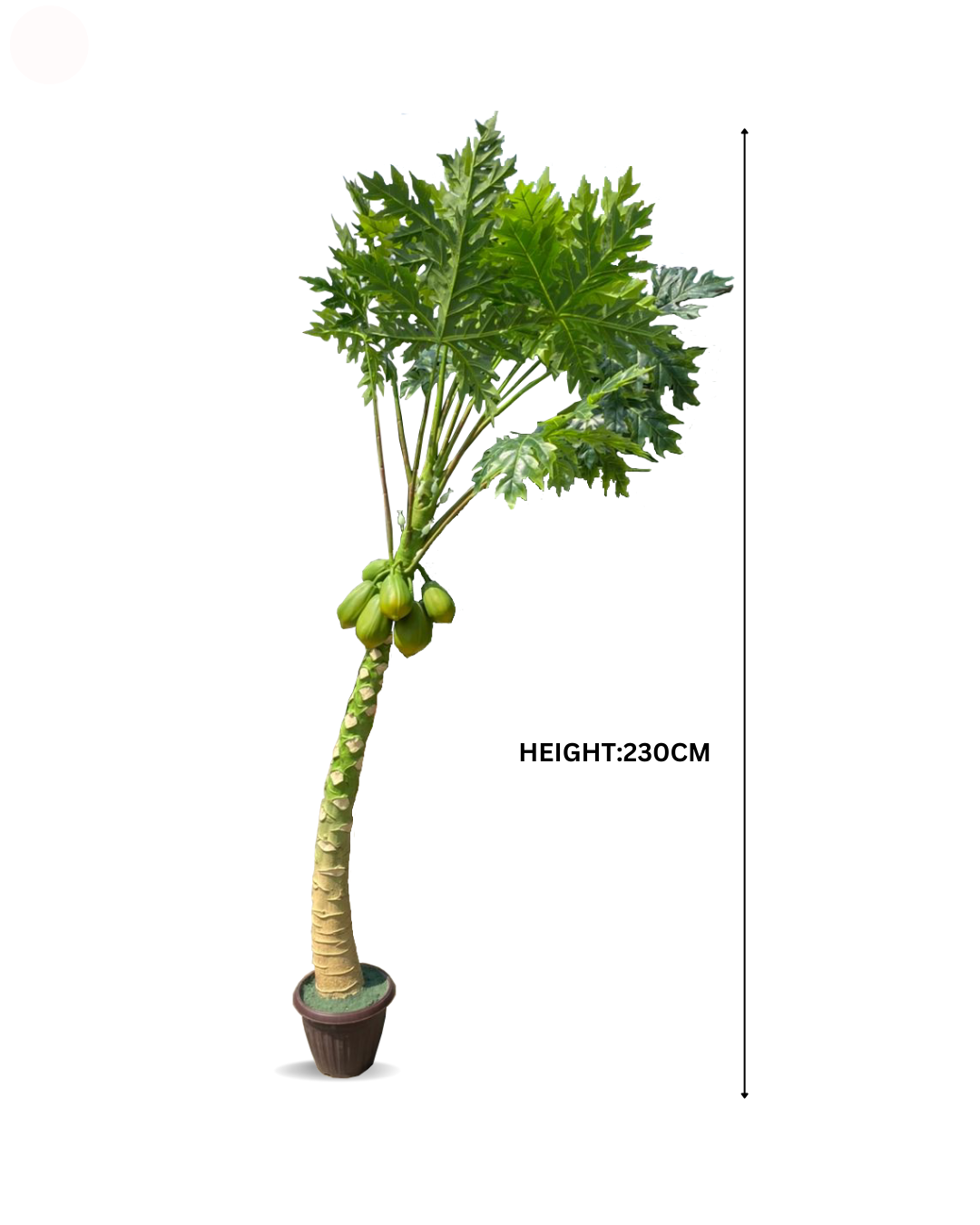 Decorative artificial trees Lagos Nigeria