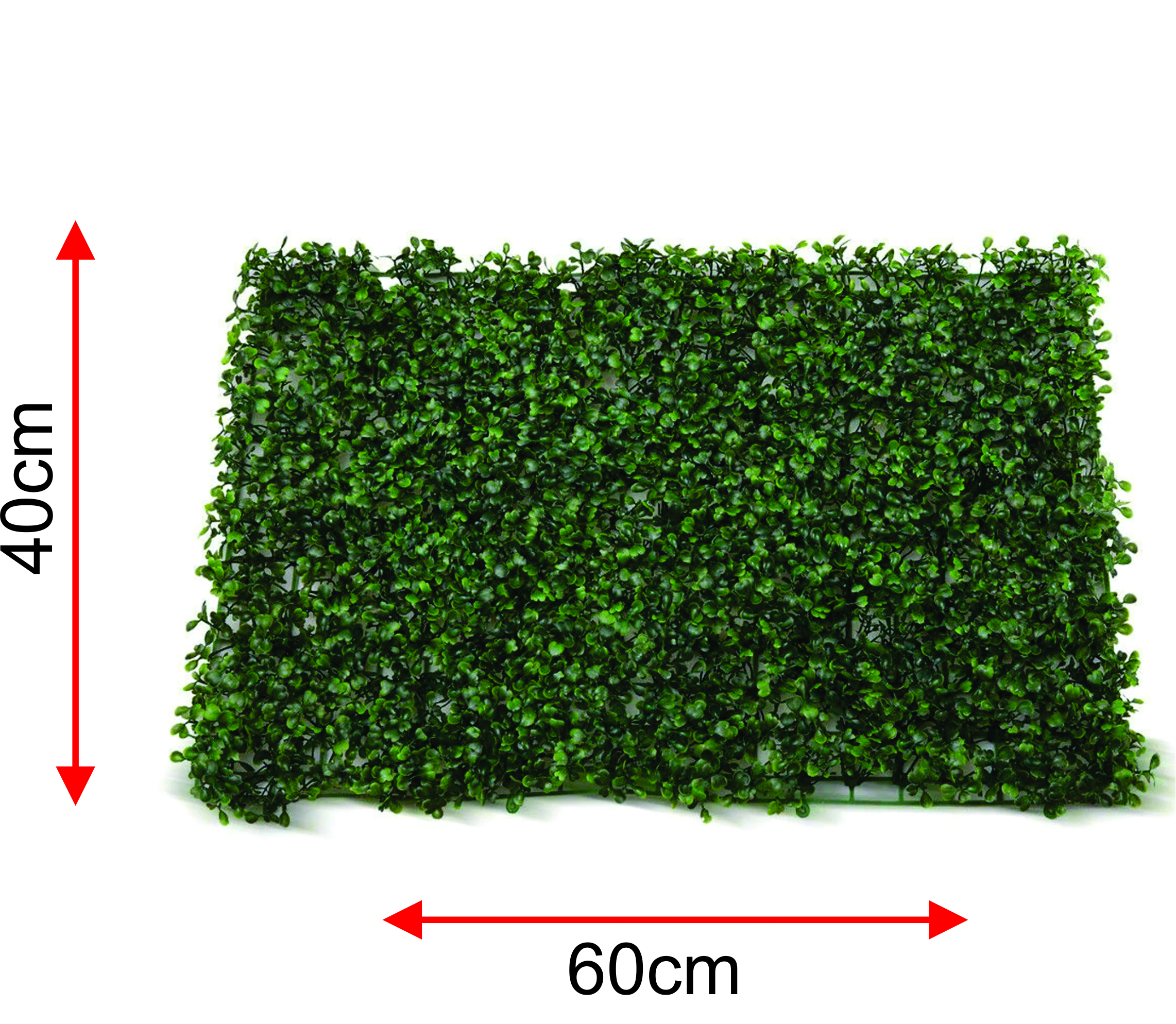 Where to buy wall greenery in Lagos