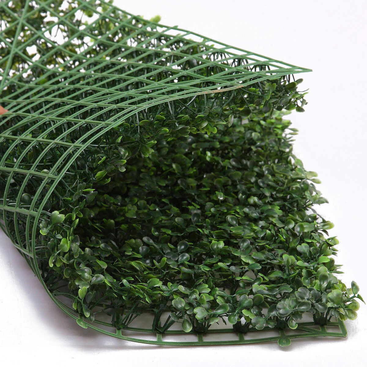 Where to buy wall greenery in Lagos