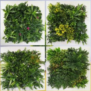 Where to buy wall greenery in Lagos