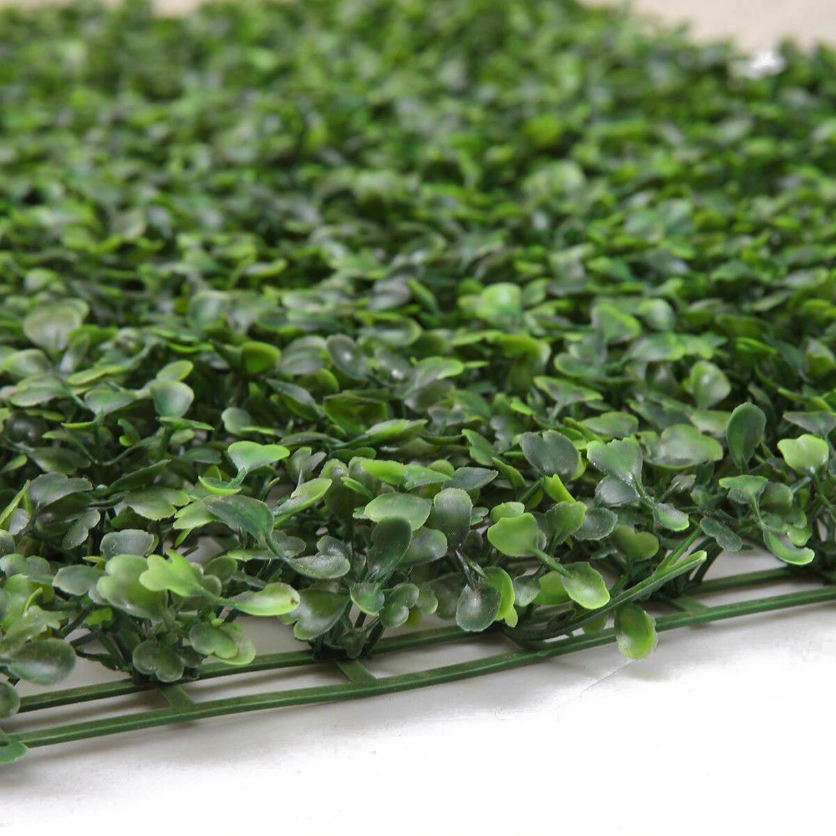 Where to buy wall greenery in Lagos