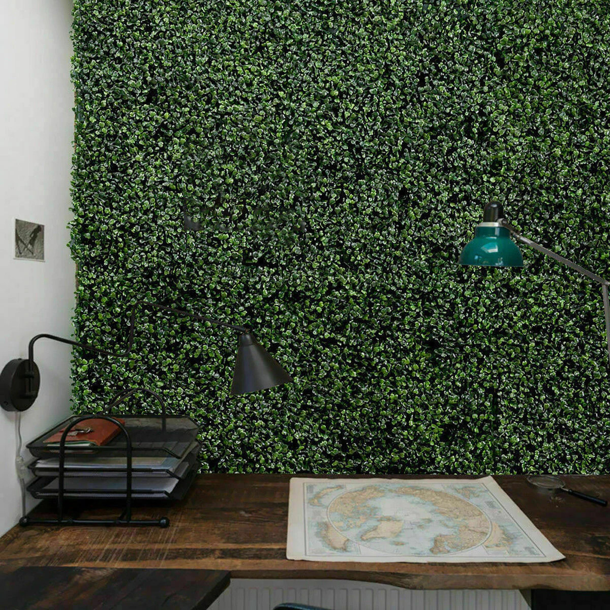Where to buy wall greenery in Lagos