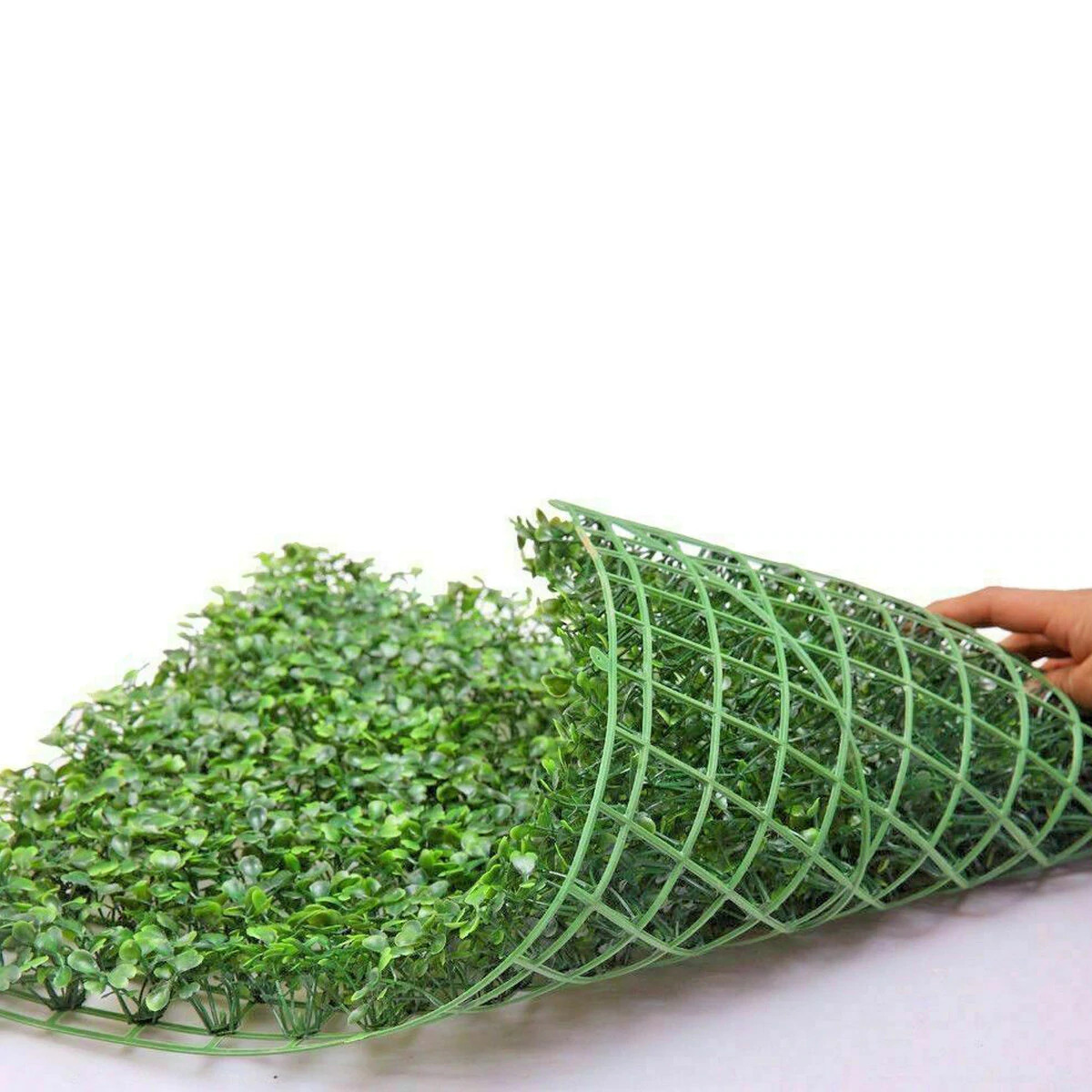 Where to buy wall greenery in Lagos