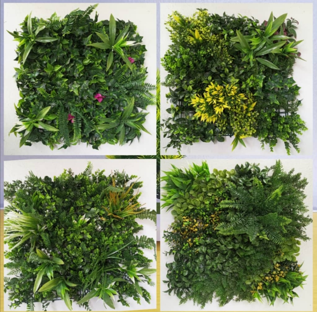 Where to buy wall greenery in Lagos