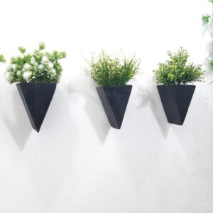 High-quality hanging plants in Lagos