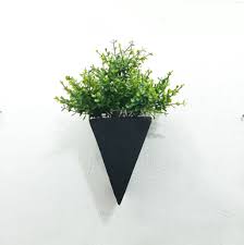 High-quality hanging plants in Lagos