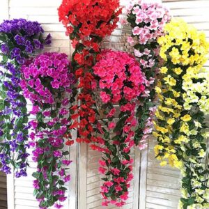 Hanging plants for sale in Lagos Nigeria