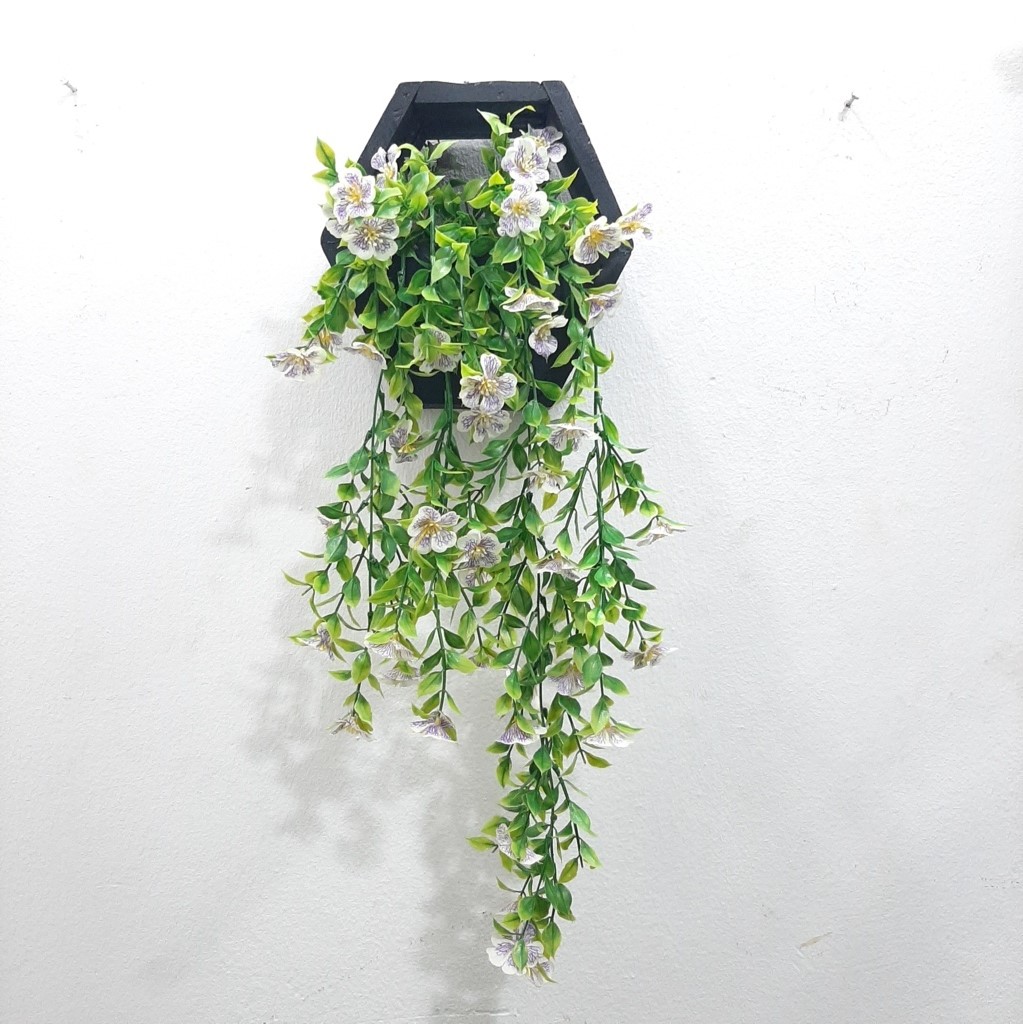 Flowering hanging plants for sale in Lagos