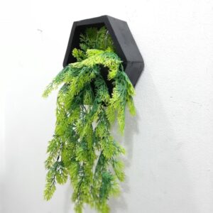 Flowering hanging plants for sale in Lagos