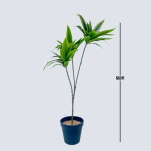 Buy potted artificial plants in Lagos