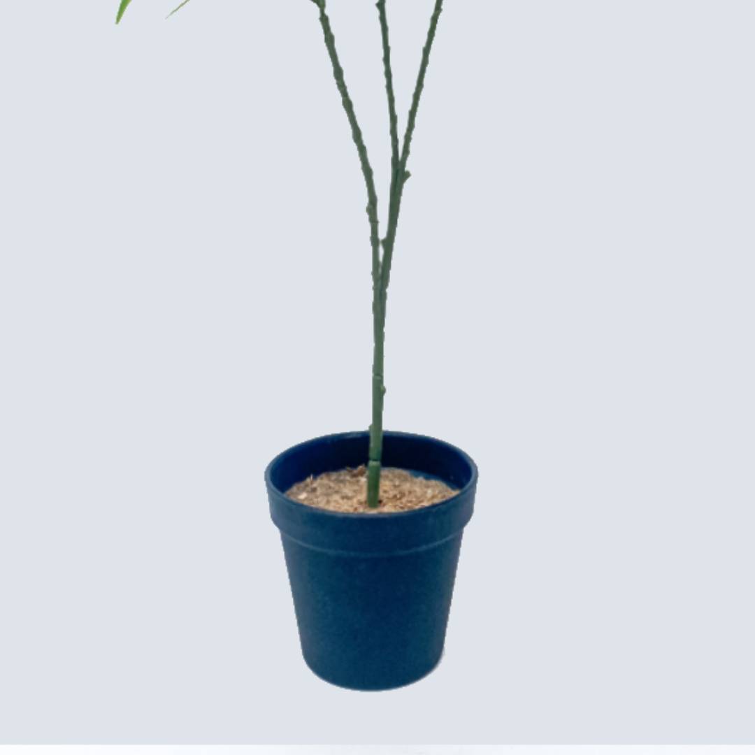 Buy potted artificial plants in Lagos