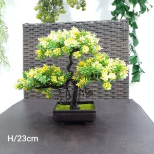 Interior design tabletop plant supply