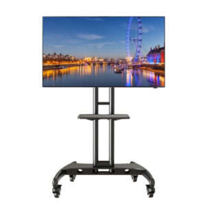 Mobile TV and TV Stand